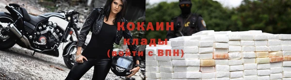 дживик Вязники