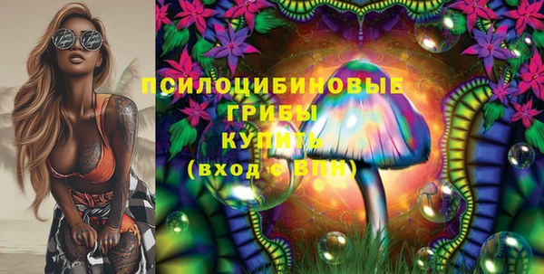 прущий лед Вяземский
