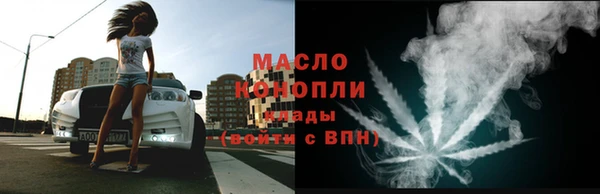 прущий лед Вяземский