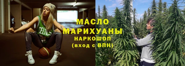 прущий лед Вяземский