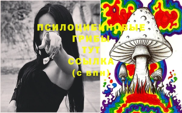 прущий лед Вяземский